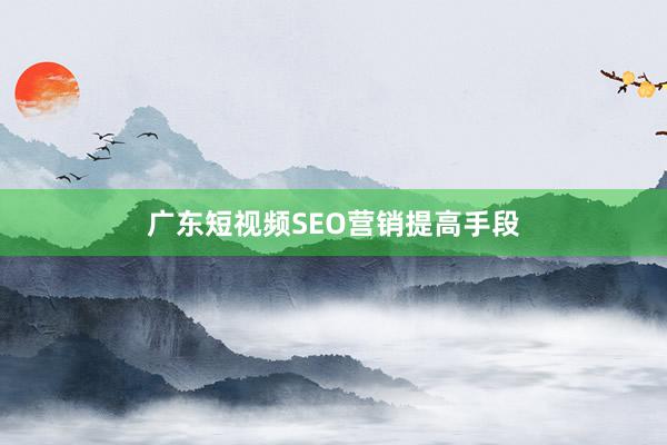 广东短视频SEO营销提高手段