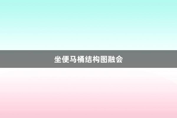 坐便马桶结构图融会