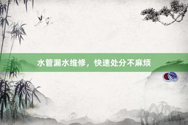 水管漏水维修，快速处分不麻烦