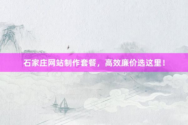 石家庄网站制作套餐，高效廉价选这里！